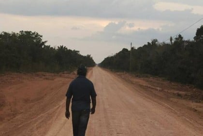 Brazil moves toward paving road key to deforestation