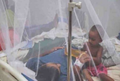 87 new Dengue patients hospitalised in 24 hours