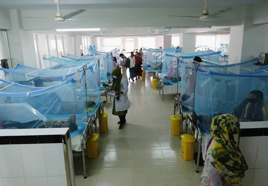 Dengue death toll rises to 15