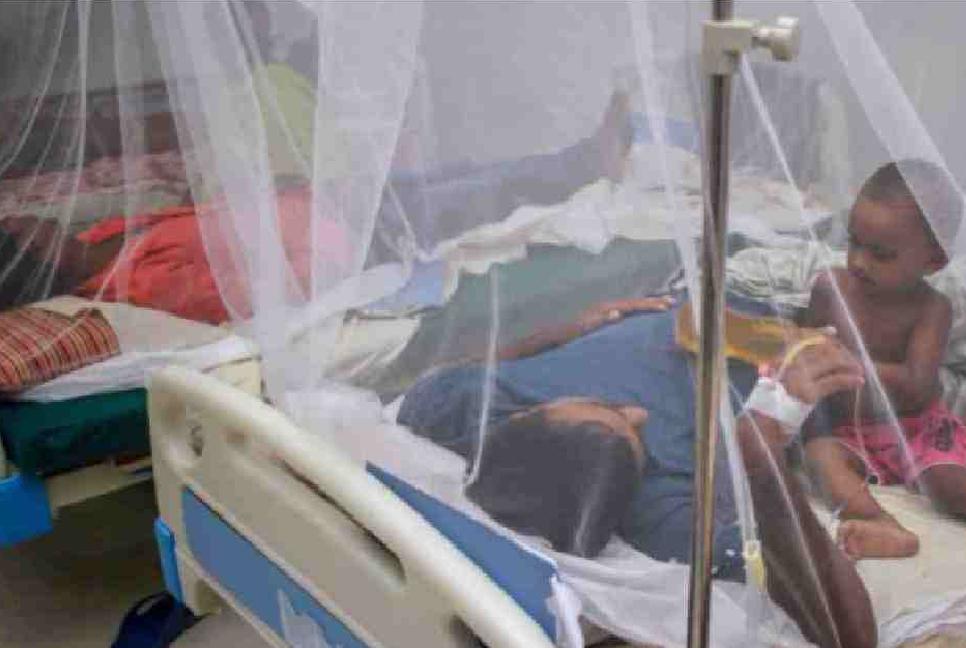 Dengue death toll rises