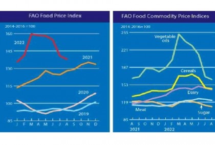 Global food prices dip for the fifth consecutive month