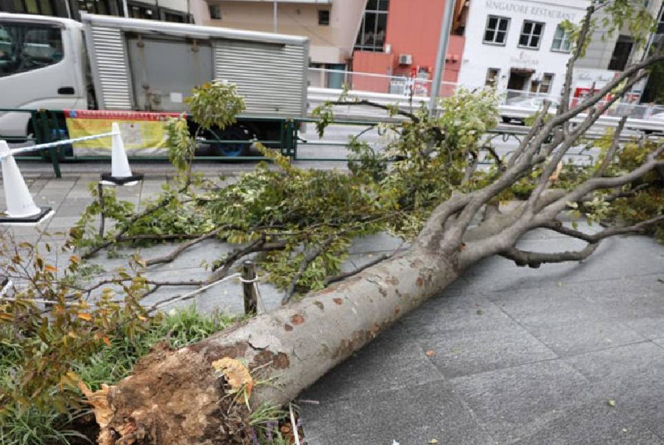 Powerful typhoon lashes Japan's Okinawa