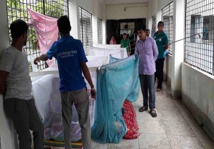 One dies in Dengue in 24hrs, hospitalized 635  