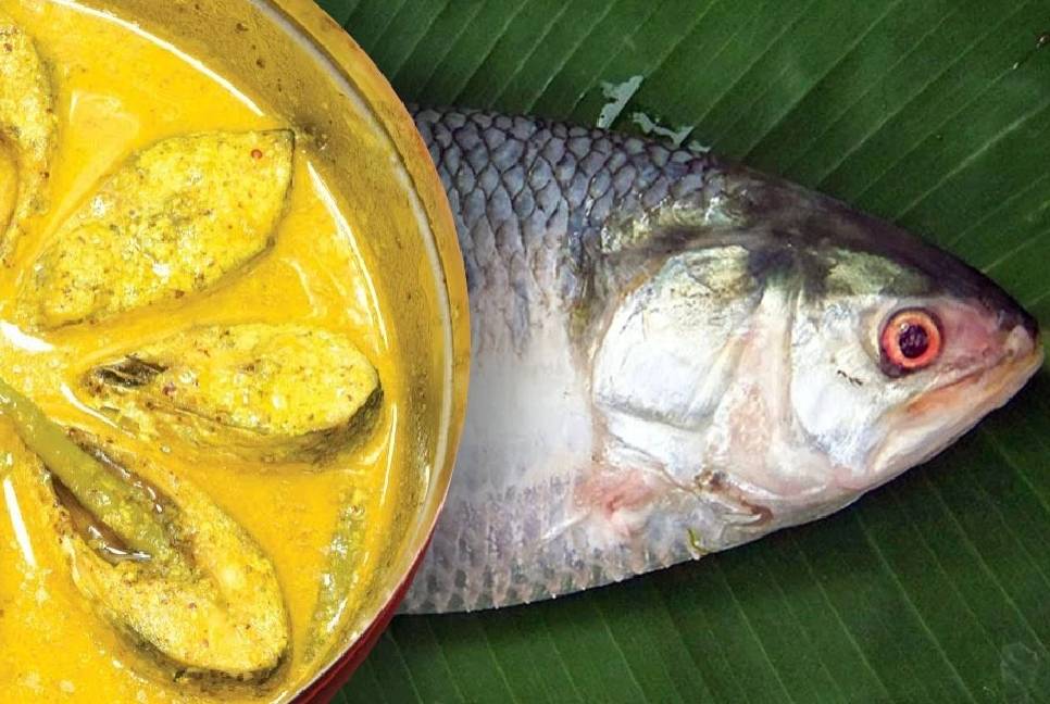 Hilsa export to India: Bangladesh earned $1.36cr this year 