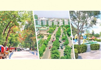 A city covered with greenery