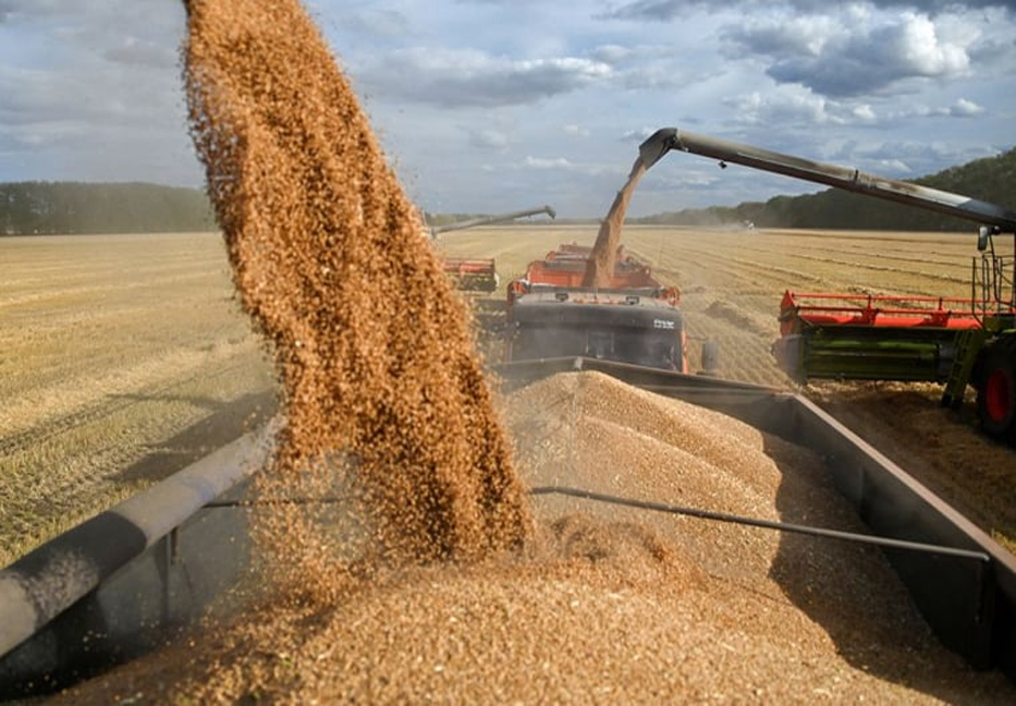 Russia, UN to hold talk over Ukraine grain deal renewal 

