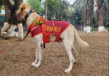 RAB dog gets award for brilliant role in rescue after Gulistan blast