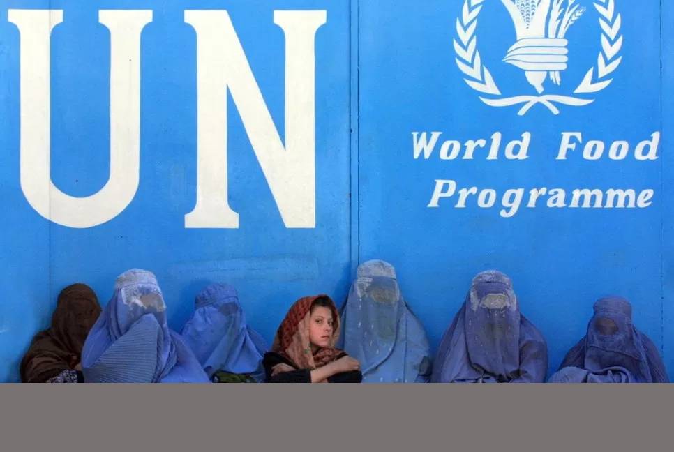 Taliban ban Afghan female staff: UN