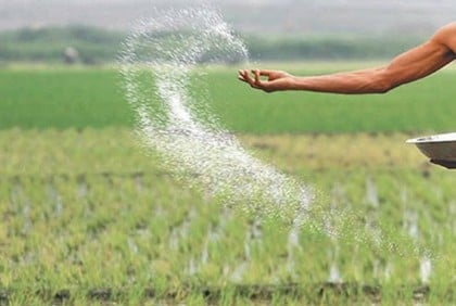 Prices of fertilisers hiked by Tk 5 per kg