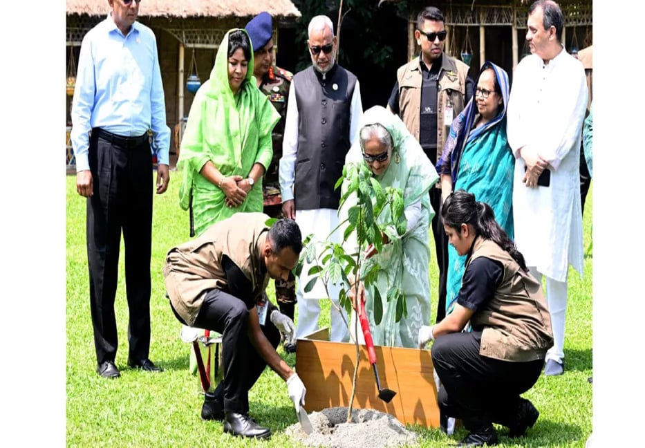 PM urges for tree plantation to protect Bangladesh from climate change