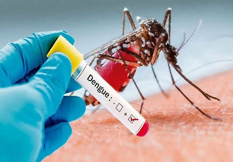 Dengue: Two died, 147 hospitalized in 24 hrs