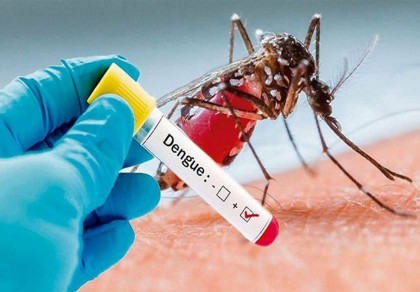 Dengue: Two died, 189 hospitalised in 24 hrs