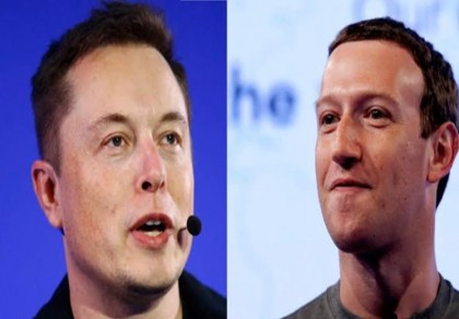 Musk, Zuckerberg agreed to face-off in a 'cage match'