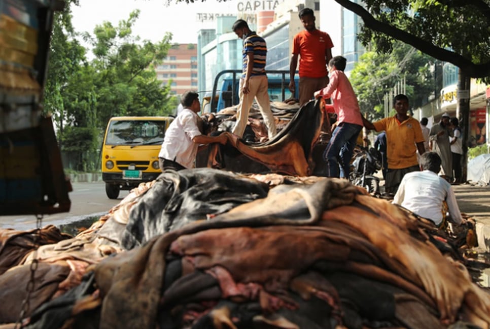 Tanners collect over 4.5 lakh pieces of rawhide