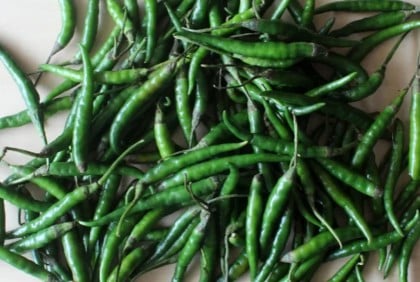 Green chilli still selling at Tk600 per kg