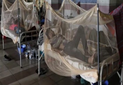 Dengue: 4 died in 24 hours