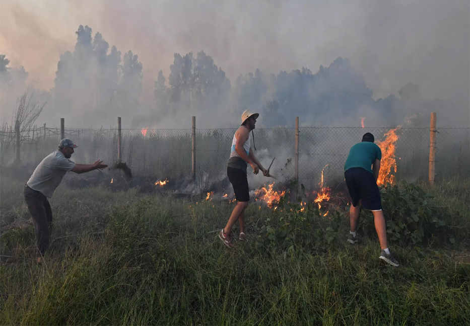 Algeria fires spread by winds, 34 killed in extreme heat 