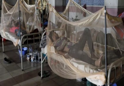 Dengue: 10 died, 2,579 hospitalized in 24 hrs