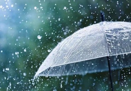 Weather forecast: Light, moderate rain likely 