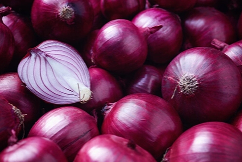 India imposes 40% duty on onion exports effective today