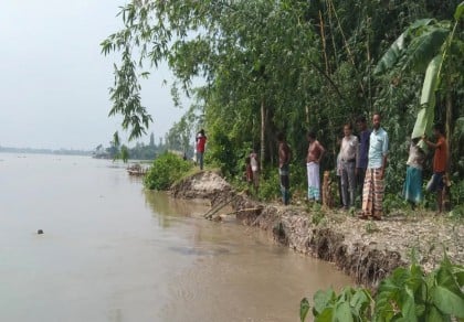 50 homes swept away in Kurigram as erosion by Teesta worsened