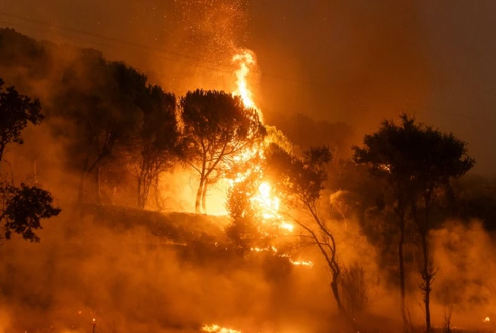 18 bodies found in Greece as firefighters battle wind-driven wildfires across the country