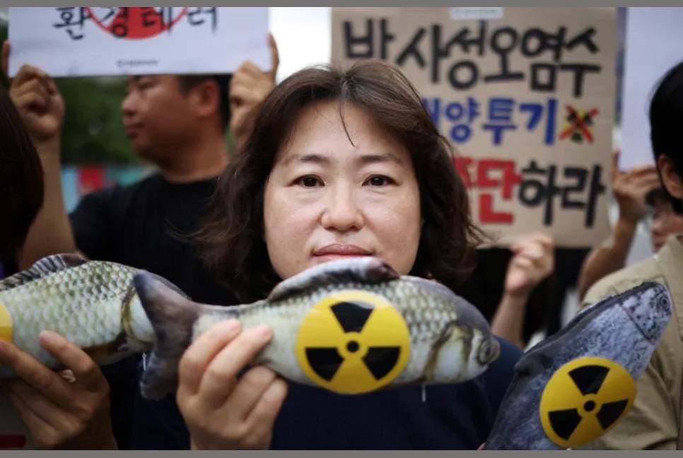 No radioactivity found in Fukushima fish: Japan