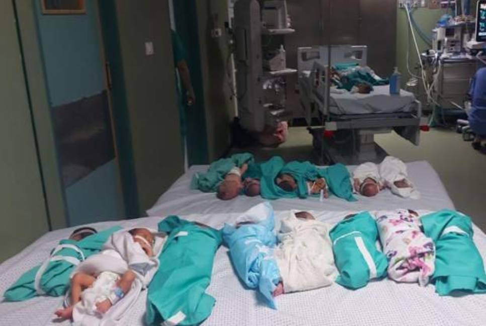 Israeli military will help evacuate babies from Gaza hospital