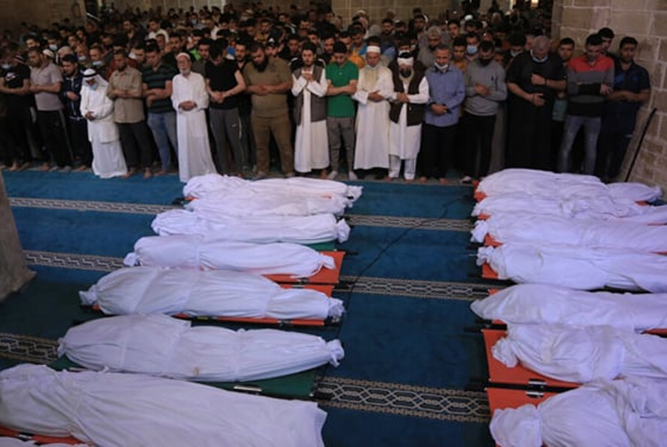 310 Palestinians killed in Gaza in 24 hrs