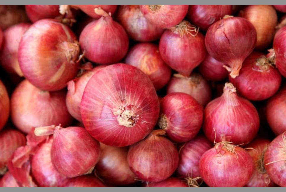 India to lift onion export ban