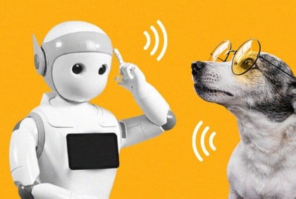 AI to help understand animals’ language 