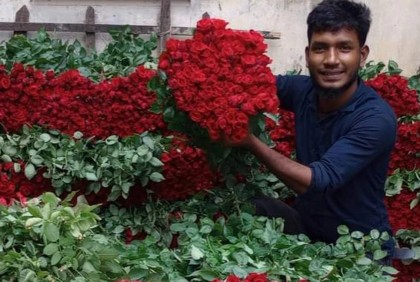 Jashore flower growers eye Tk 70 cr sale in the month of language, Falgun, Valentine’s Day