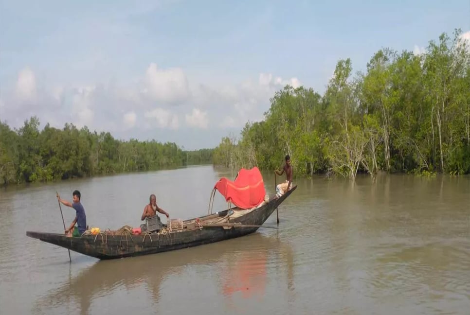 Sundarbans Day: World's largest mangrove forest drawing more tourists