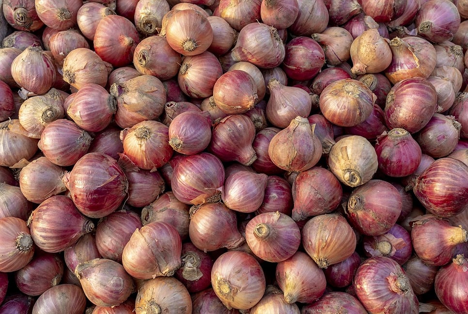 50,000 MTs onion to enter Bangladesh market soon: Titu