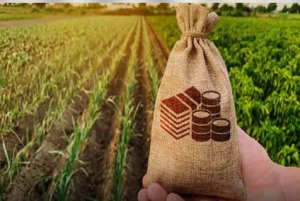 Bangladesh earmarks Tk 385 billion for agriculture, aiming for 10% annual growth by fiscal 2026