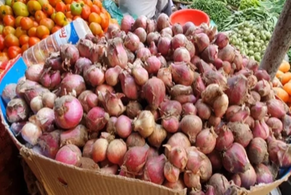 India lifts ban on onion export