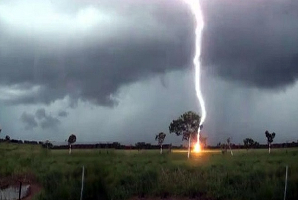 35 farmers among 74 killed by lightning in 38 days: SSTF