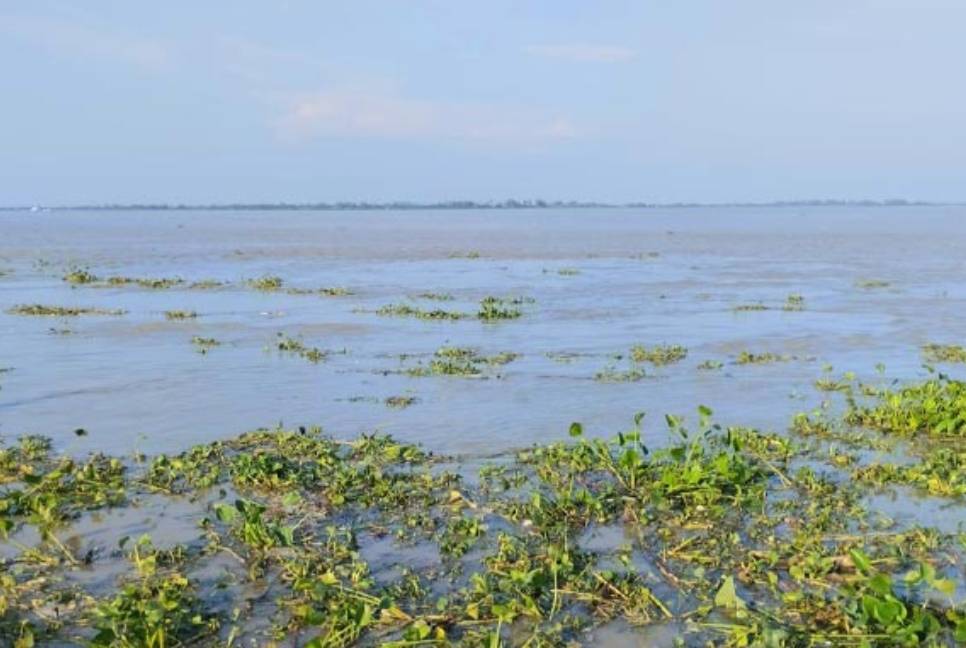 Gaibandha flood situation worsens as Brahmaputra marks rise