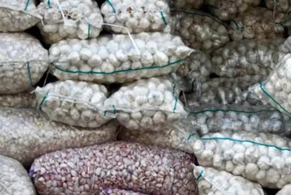 Mongla Port sees first-ever import of 58 metric tonnes of garlic