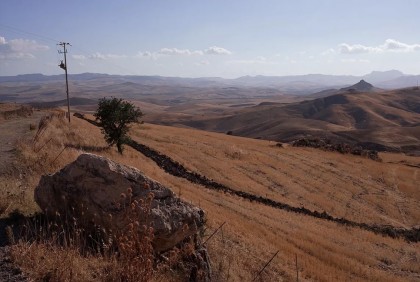 Deadly drought in Sicily spoils crops productions, animal farming 