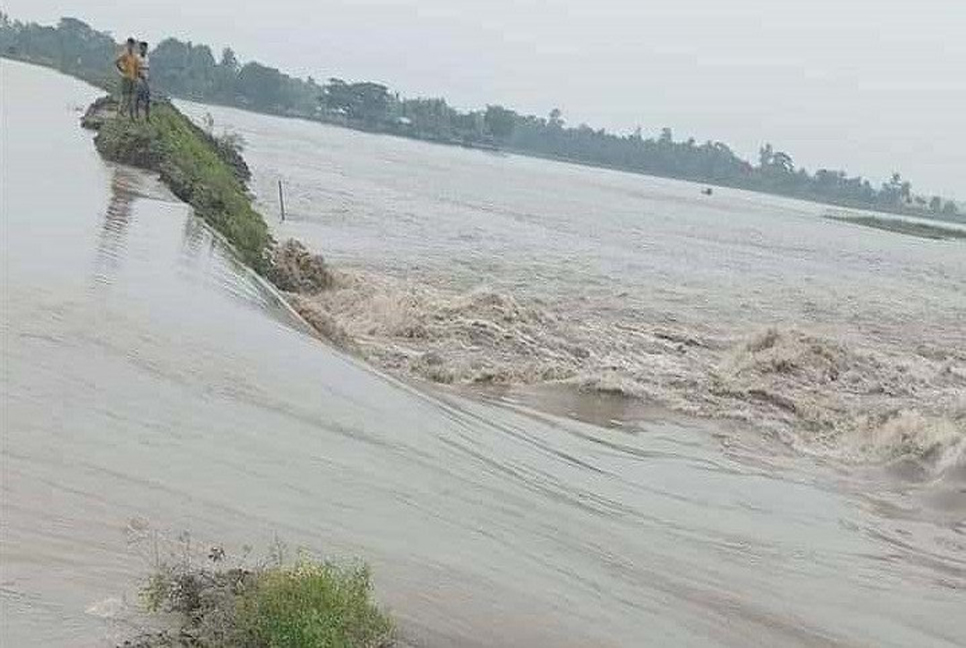 Breached embankments inundate villages, fish enclosures in Khulna