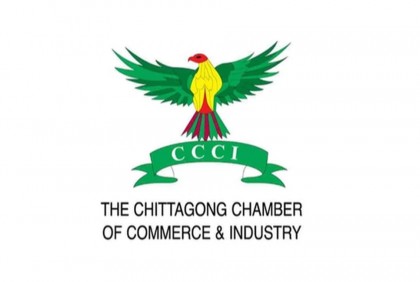 Govt appoints administrator for CCCI