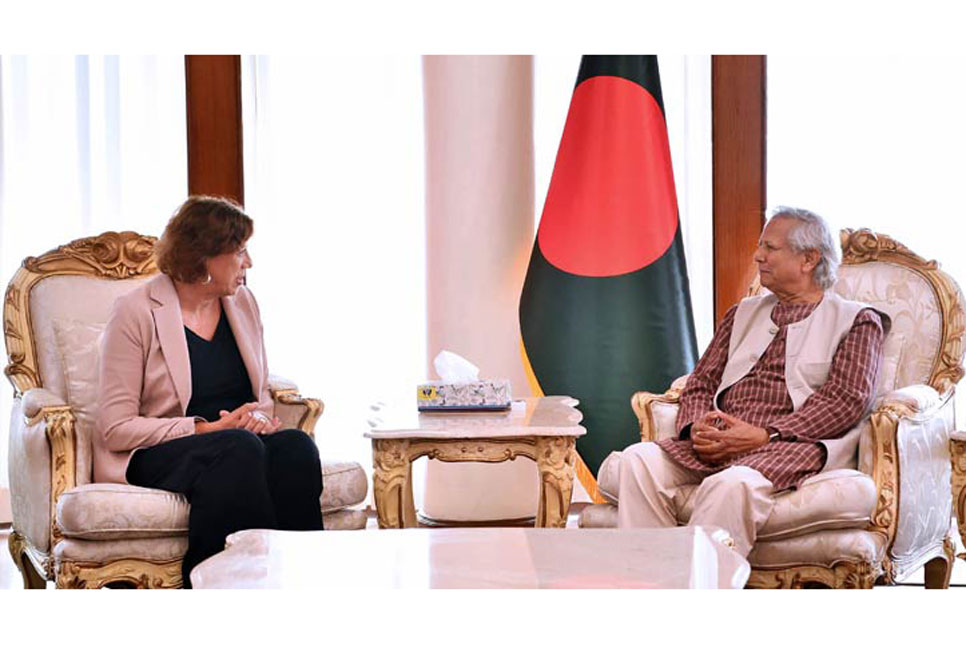 Netherlands to provide support to interim govt: Ambassador