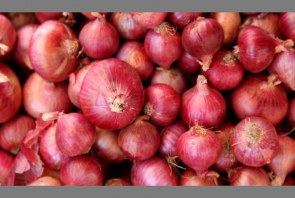 India slashes export duty by half on onion export