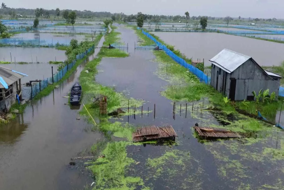 8,000 fish enclosures, crops in Khulna destroyed, causing Tk 100cr in losses