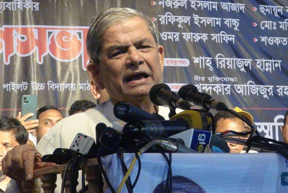 Sooner the election, the better for country: Mirza Fakhrul