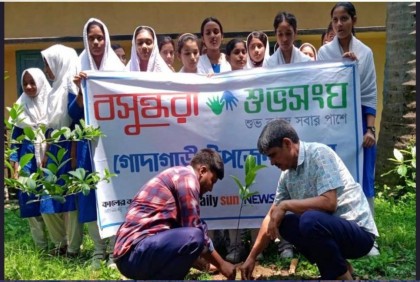 Bashundhara Shuvosangho plants trees in Godagari