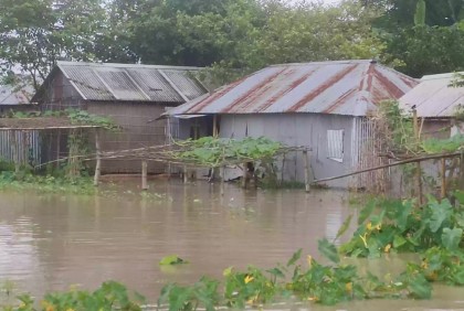 Rising river water levels trigger flooding in Kurigram, submerging fields and homes