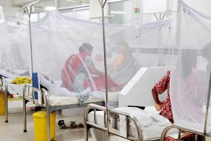 Dengue: 3 more die, 1,022 hospitalised in 24hrs

