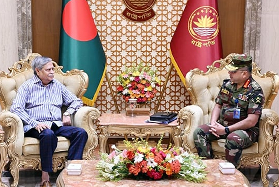 Army chief pays courtesy call on president